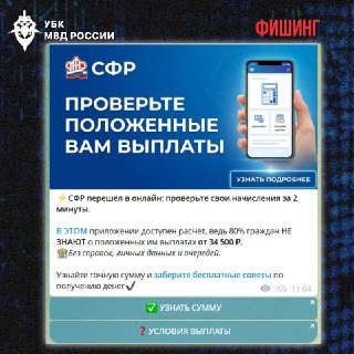 В полиции предупредили о фишинговой рассылке от имени Социального фонда России