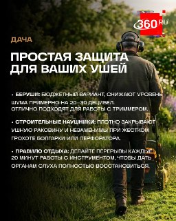 Иллюстрация 1