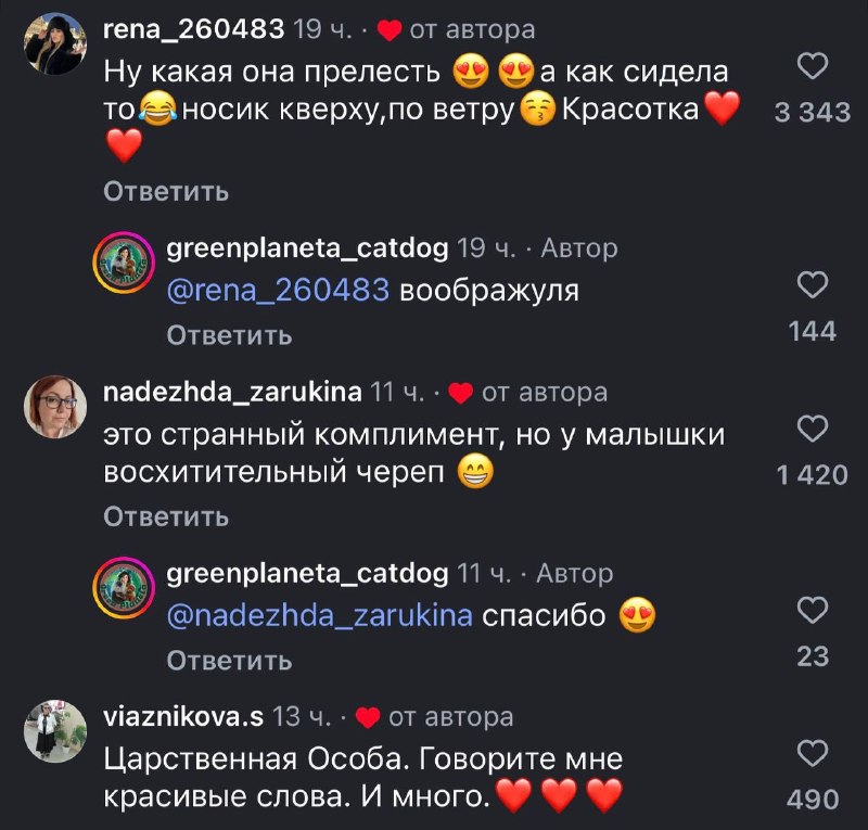 Иллюстрация 2