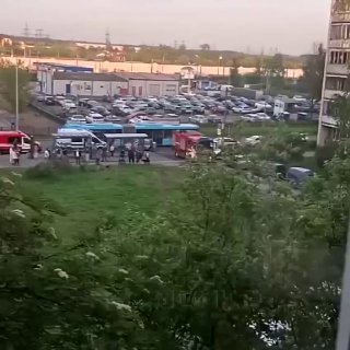 В Санкт-Петербурге дрон застрял в ветвях дерева на Белорусской улице