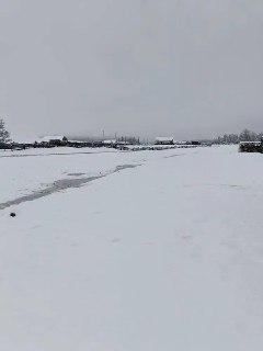 Иллюстрация 1