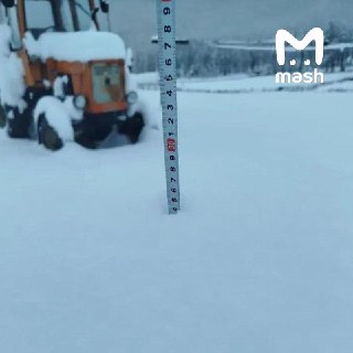 Иллюстрация 3
