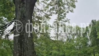 В центре Петербурга заметили посадку вертолёта санавиации