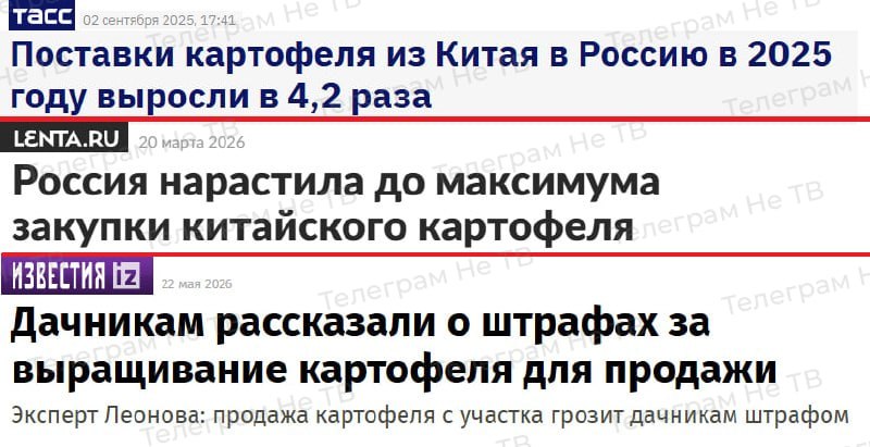 Рост поставок картофеля из Китая в Россию и штрафы для дачников за продажу урожая