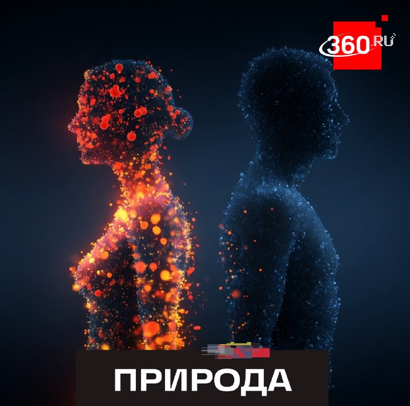 Ученые обнаружили генетические причины различий в иммунитете мужчин и женщин