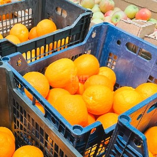 Иллюстрация 3