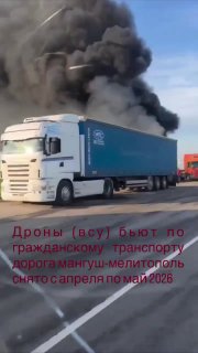Иллюстрация 1
