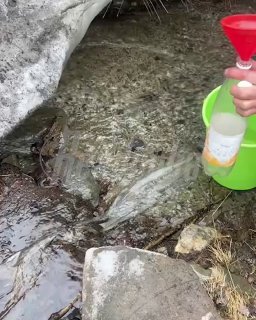 Роспотребнадзор признал опасной водопроводную воду в Бодайбо Иркутской области