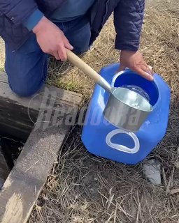 Иллюстрация 1
