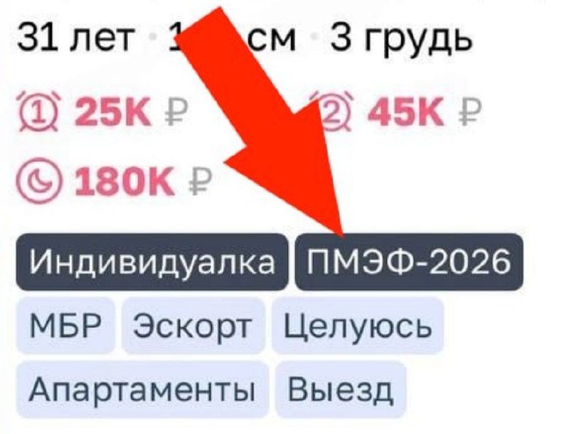 Эскортницы в Питере готовятся к ПМЭФ с помощью специальных тегов