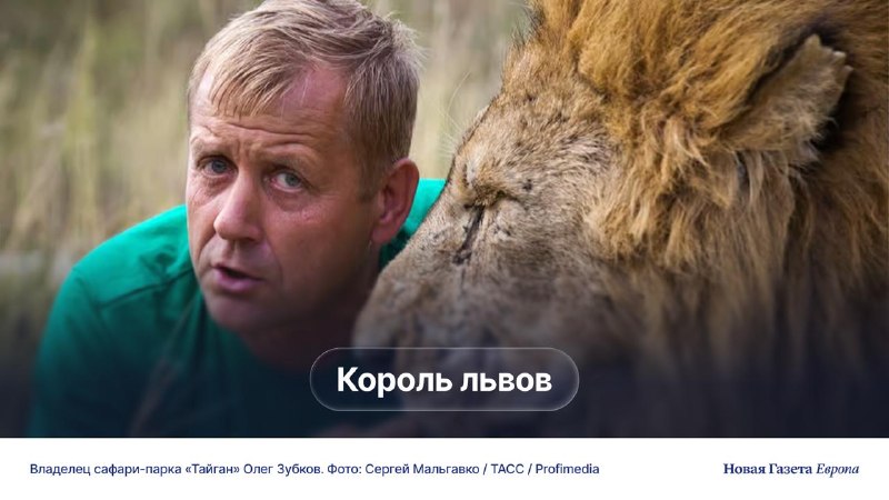 Скандалы в крымском сафари-парке «Тайган»: гибель людей и животных при владельце Олега Зубкова
