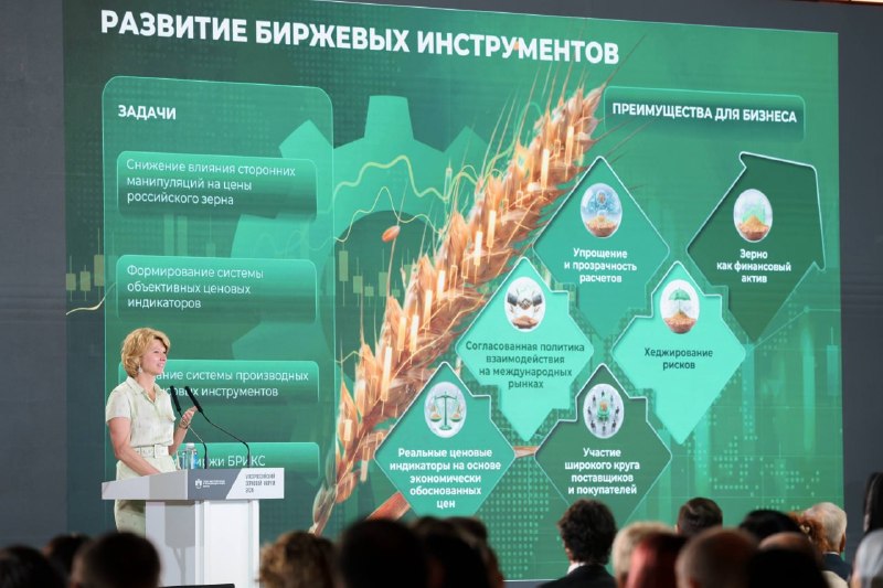 Россия планирует поставить на внешние рынки 60 млн тонн зерна в сезоне 2025-2026