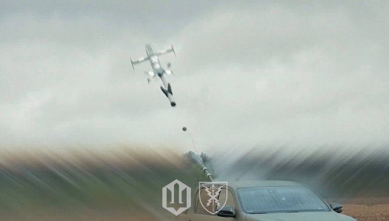 Иллюстрация 6