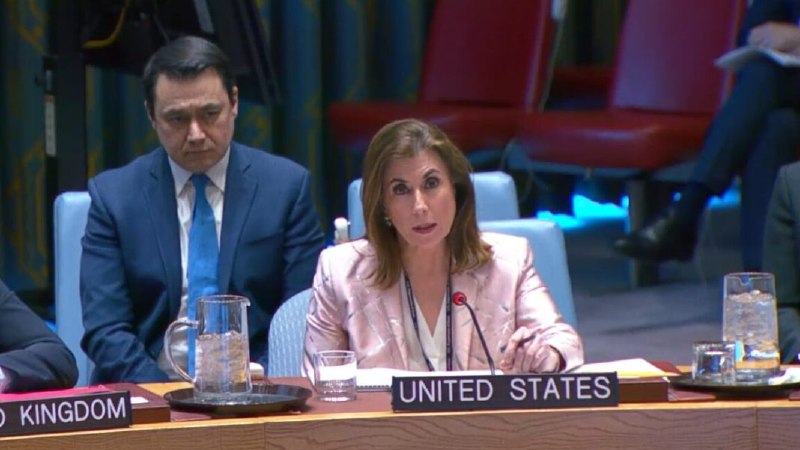 США выступили за немедленное прекращение огня в украинском конфликте на заседании Совбеза ООН