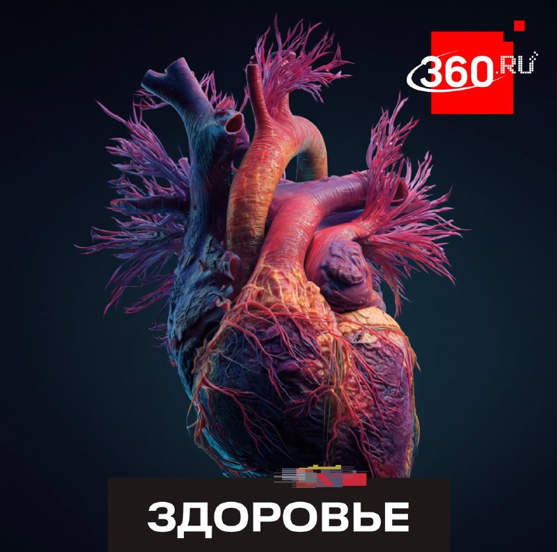 Ученые выяснили, что физические нагрузки меняют структуру нервной системы, управляющей сердцем