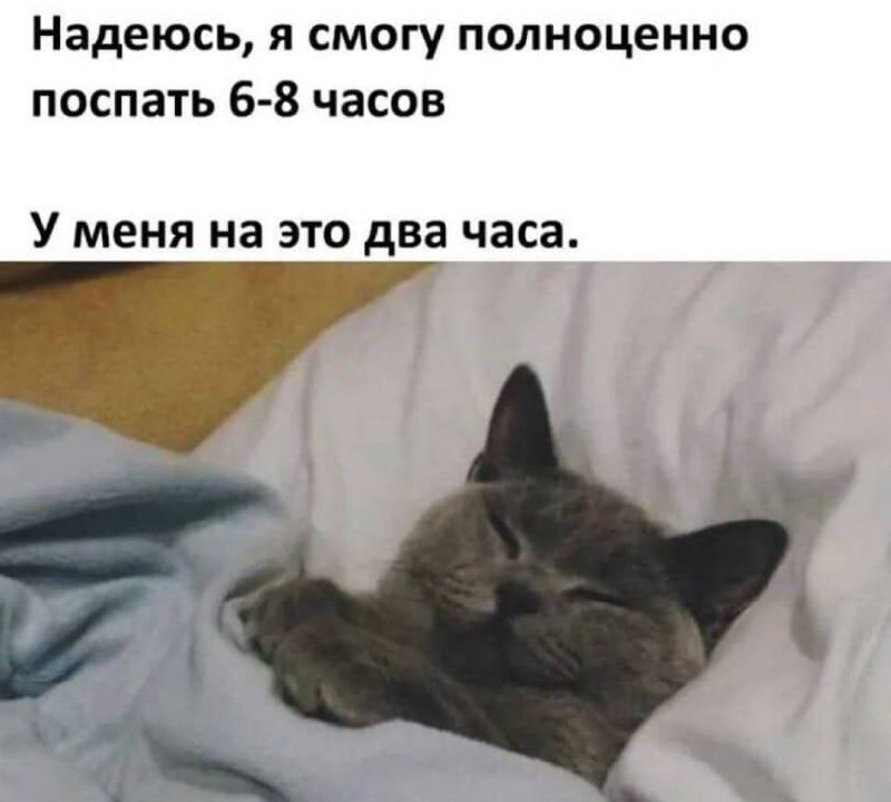 Россияне всё чаще выбирают «сонный туризм» без связи и интернета