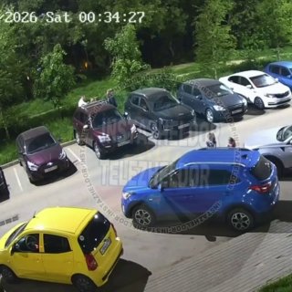 Иллюстрация 1