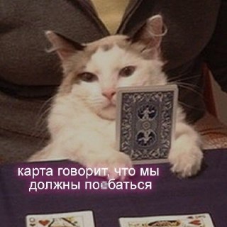 Иллюстрация 1