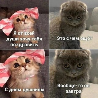 Сегодня отмечается День душнил и День шизофреника