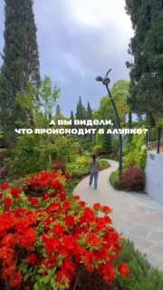 Алупку в Крыму называют главным туристическим открытием сезона