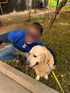В Тамбовской области мужчину арестовали за демонстрацию нацистского приветствия у могилы Тесака