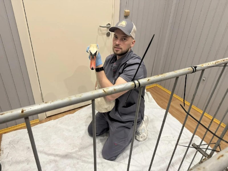 Иллюстрация 2