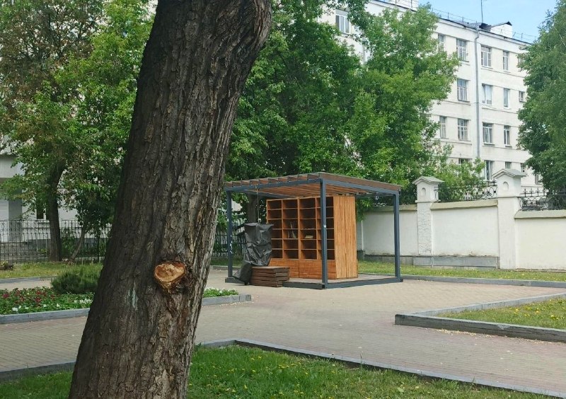 Иллюстрация 1