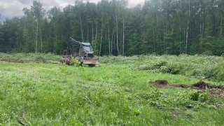 Иллюстрация 2