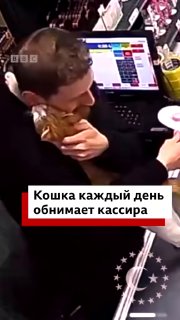 Кошка каждый день приходит в магазин за чем-то важным