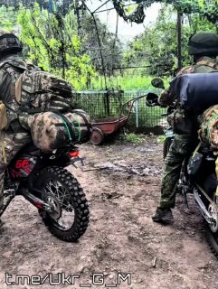 Иллюстрация 1