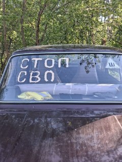 В новосибирском Академгородке обнаружена необычная форма антивоенного протеста