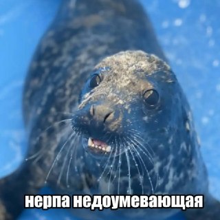 Иллюстрация 4