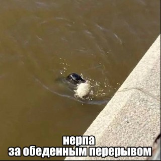 Иллюстрация 1