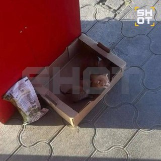 Иллюстрация 2