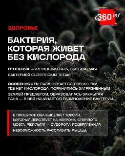 Опасности столбняка: почему болезнь начинается с царапины и как защититься