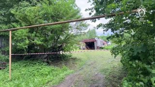 Иллюстрация 1
