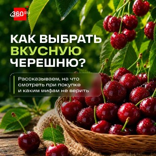 Иллюстрация 1