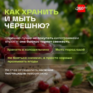 Иллюстрация 5