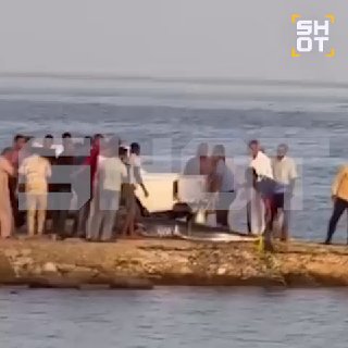 В Египте отменили морские экскурсии из-за появления акул у берегов отелей