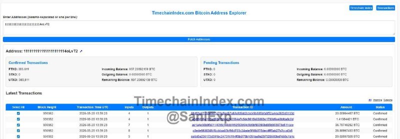 Таинственный псих уничтожил 107 биткойнов на 8,2 млн долл.