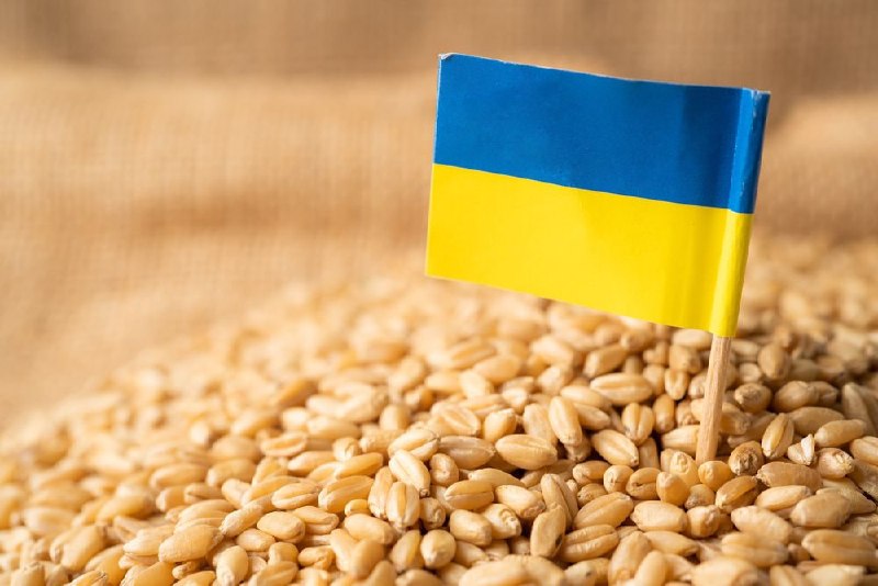 Соседи Украины продолжают блокировать украинский агроэкспорт