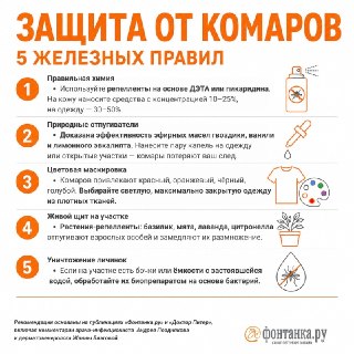 Как защититься от комаров и обработать укусы: основные правила