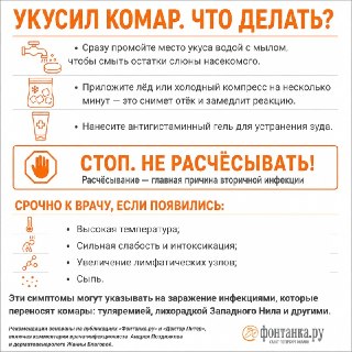 Иллюстрация 2