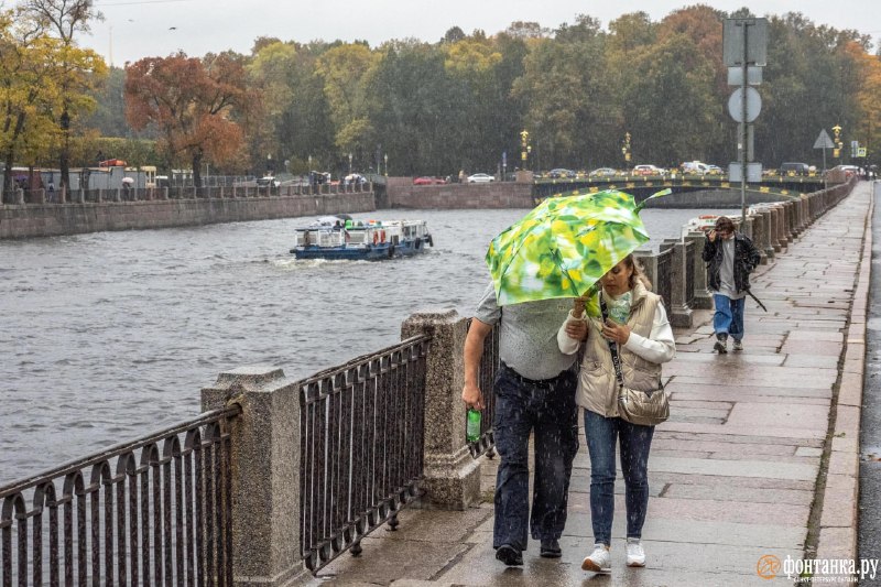 В Питере ожидается похолодание до +4°C в ночь на 28 мая