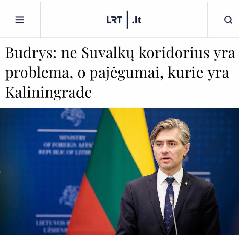 Глава МИД Литвы Будрис заявил о готовности стран Балтии защищать не только свою территорию