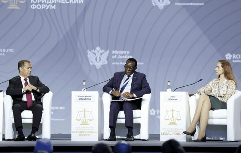 Спецдокладчицу ООН Алену Довгань обвинили в коррупции и лоббировании интересов авторитарных режимов