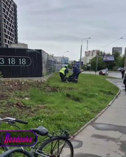 Иллюстрация 2