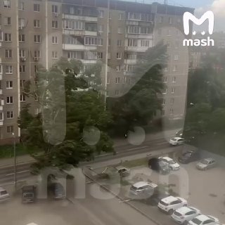 Иллюстрация 1