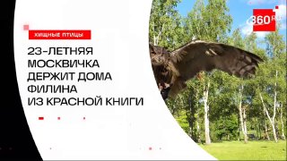 Вместо кошки — филин: студентка выгуливает краснокнижную птицу в городском парке Москвы