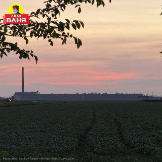 Секрет производства хрустящих огурцов от бренда «Дядя Ваня»